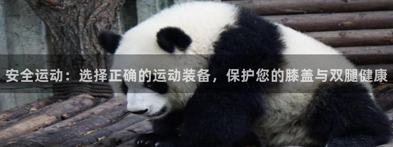 意昂5(KGAME)集团官网首页网址：安全运动：选择