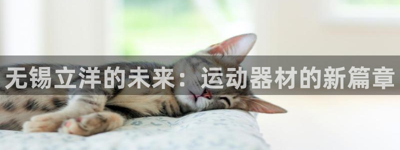 意昂5(KGAME)娱乐平台：无锡立洋的未来：运动器