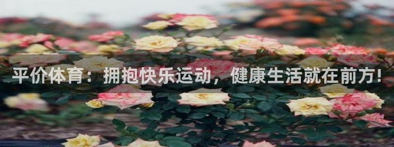 米兰体育官网入口：平价体育：拥抱快乐运动，健康生活就在前方!