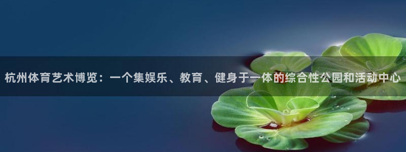 米兰体育网页版：杭州体育艺术博览：一个集娱乐、教育、健身于一体的综合性公园和活动中心